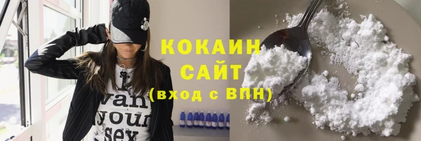 прущие грибы Володарск