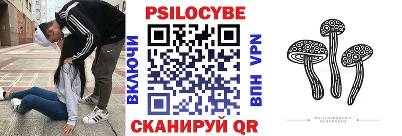 Псилоцибиновые грибы прущие грибы  Кызыл 