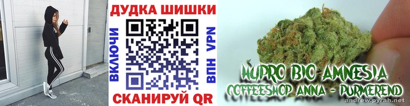 Шишки марихуана планчик  Кызыл 